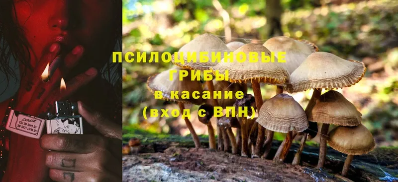 Галлюциногенные грибы Cubensis  как найти закладки  Новочебоксарск 